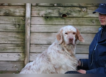 Beto - Mehr Braucht man nicht