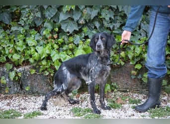 Coca - Zwischen gestern und morgen