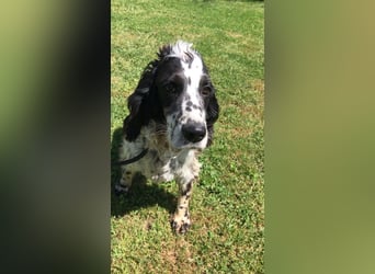 Fuorimano - Alles verloren, außer der Hoffnung auf einen Neuanfang