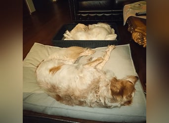 Annette - ein sanftes Huhu!