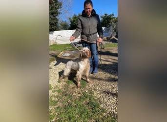 Beto - Mehr Braucht man nicht