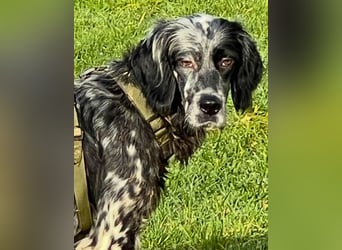 Helvetia - Angst beginnt im Kopf ? Mut auch!