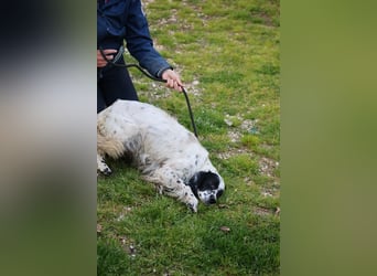 Fola - bereit, die Welt gemeinsam zu entdecken