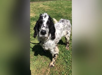 Fuorimano - Alles verloren, außer der Hoffnung auf einen Neuanfang