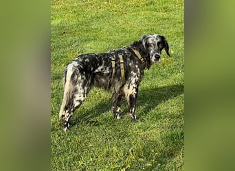 Helvetia - Angst beginnt im Kopf ? Mut auch!