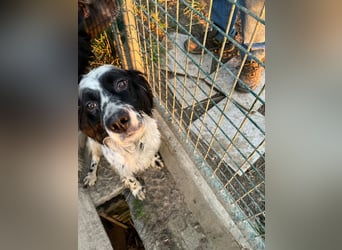 Fola - bereit, die Welt gemeinsam zu entdecken