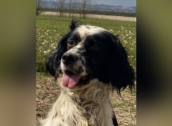 Fola - bereit, die Welt gemeinsam zu entdecken