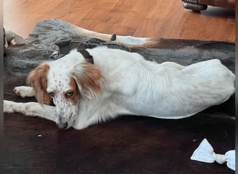 Annette - ein sanftes Huhu!