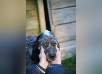 Linda - Und plötzlich kann alles gut werden