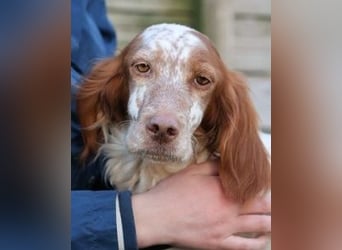 Fiamma - Eine kleine Seele auf großer Reise