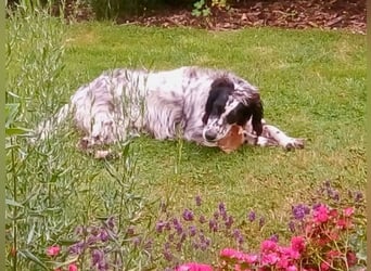 Fuorimano - Alles verloren, außer der Hoffnung auf einen Neuanfang