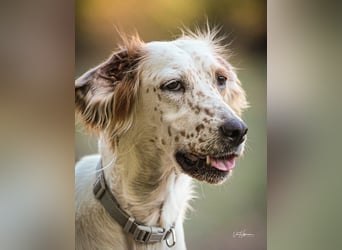 Annette - ein sanftes Huhu!