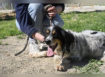 Shelby - eine neue Welt