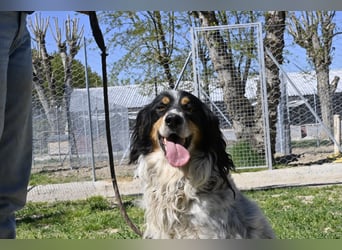 Shelby - eine neue Welt