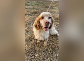 Buck - Ein neues Jahr, eine neue Hoffnung?