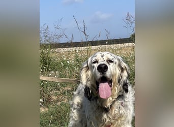 Marte - ...SOS - möchte eine Band gründen