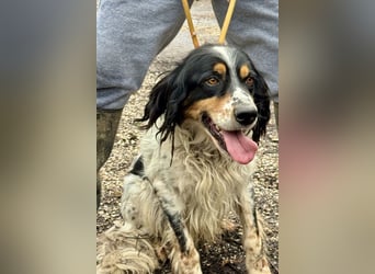 Shelby - eine neue Welt