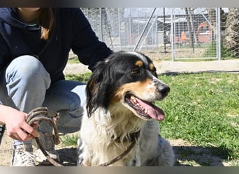 Shelby - eine neue Welt