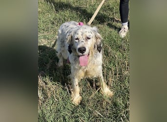 Marte - ...SOS - möchte eine Band gründen