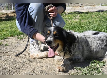 Shelby - eine neue Welt