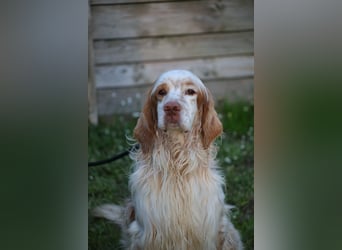 Buck - Ein neues Jahr, eine neue Hoffnung?