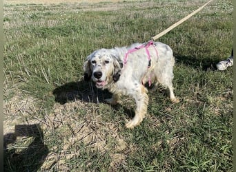 Marte - ...SOS - möchte eine Band gründen