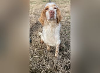 Buck - Ein neues Jahr, eine neue Hoffnung?