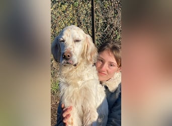 Baldone - Cappuccino mit Schokostreuseln gefällig?