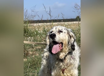 Marte - ...SOS - möchte eine Band gründen