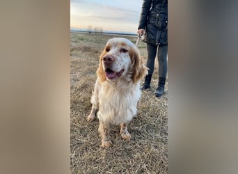 Buck - Ein neues Jahr, eine neue Hoffnung?