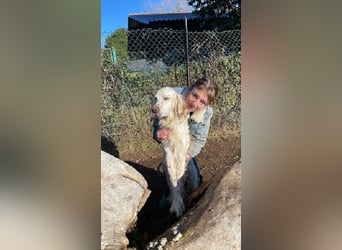 Baldone - Cappuccino mit Schokostreuseln gefällig?