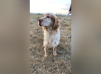 Buck - Ein neues Jahr, eine neue Hoffnung?