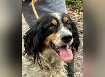 Shelby - eine neue Welt