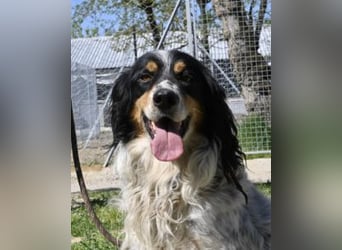 Shelby - eine neue Welt