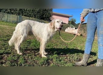 Baldone - Cappuccino mit Schokostreuseln gefällig?