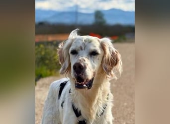 Baldone - Cappuccino mit Schokostreuseln gefällig?