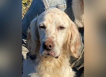 Baldone - Cappuccino mit Schokostreuseln gefällig?