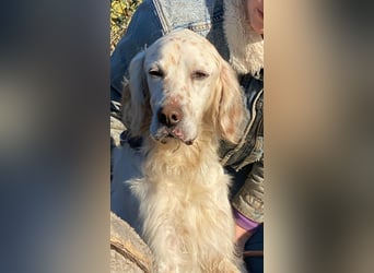 Baldone - Cappuccino mit Schokostreuseln gefällig?