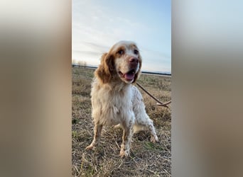 Buck - Ein neues Jahr, eine neue Hoffnung?