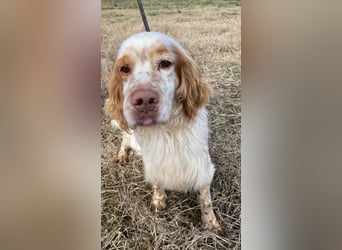 Buck - Ein neues Jahr, eine neue Hoffnung?