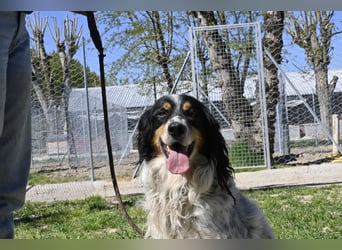 Shelby - eine neue Welt