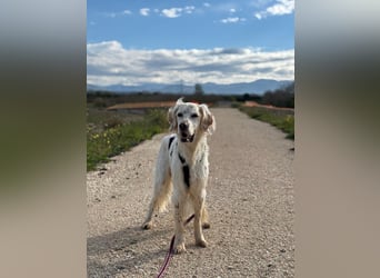 Baldone - Cappuccino mit Schokostreuseln gefällig?