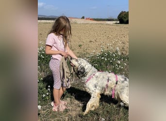 Marte - ...SOS - möchte eine Band gründen