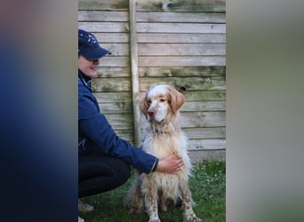 Buck - Ein neues Jahr, eine neue Hoffnung?