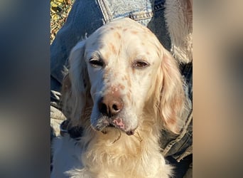 Baldone - Cappuccino mit Schokostreuseln gefällig?