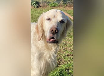 Baldone - Cappuccino mit Schokostreuseln gefällig?