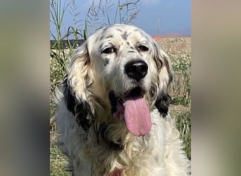 Marte - ...SOS - möchte eine Band gründen