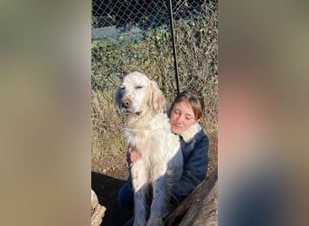 Baldone - Cappuccino mit Schokostreuseln gefällig?