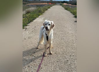 Baldone - Cappuccino mit Schokostreuseln gefällig?