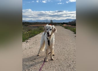 Baldone - Cappuccino mit Schokostreuseln gefällig?